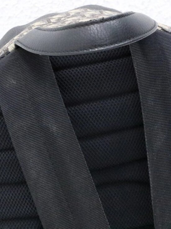 Dior Rider Oblique Jacquard Rider Backpack - Beige & Black main image 9